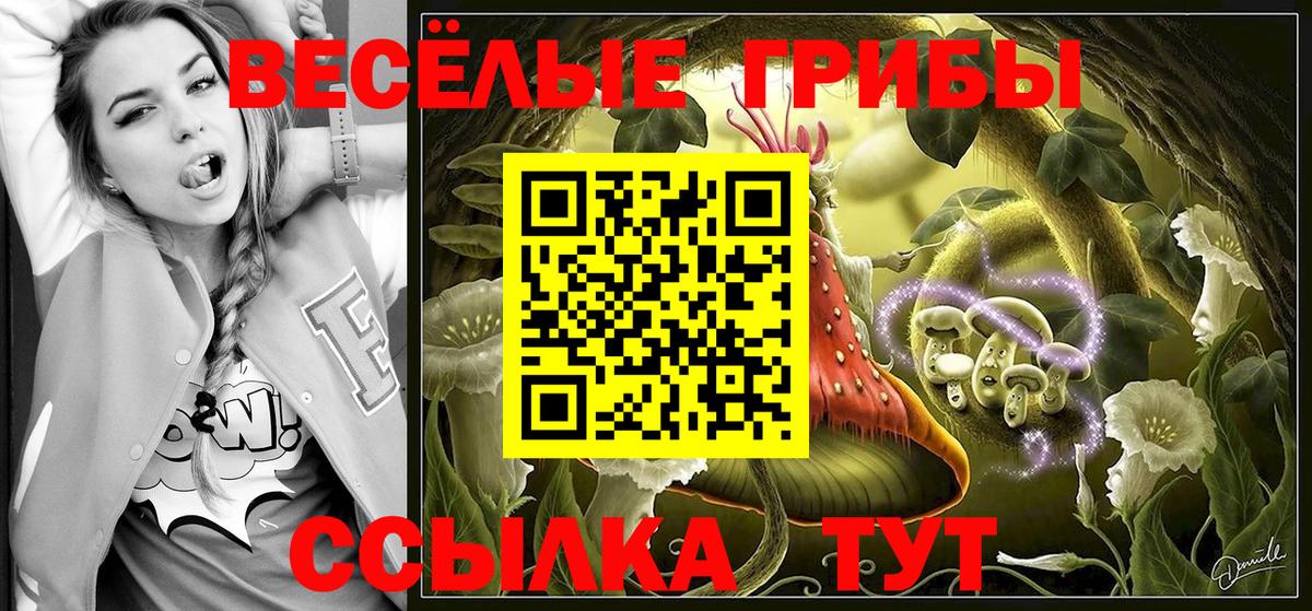 Галлюциногенные грибы Psilocybine cubensis  Вход с VPN  Тула  Галлюциногенные грибы Cubensis 