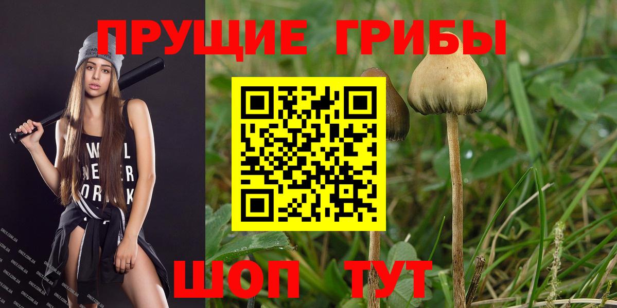 Галлюциногенные грибы Psilocybine cubensis Тула